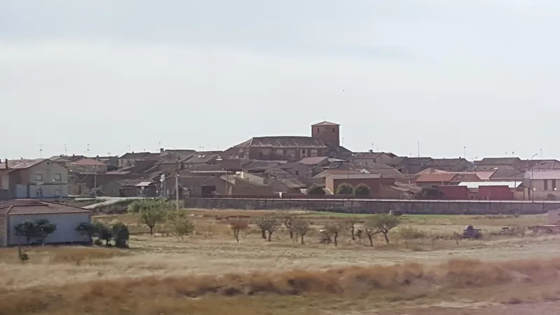 Vista de Cerecinos de Campos con la torre de la iglesia sobre los tejados y campos secos delante
